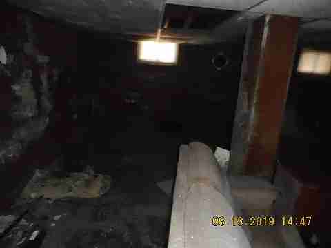 8266 Badger (33)_m.jpg